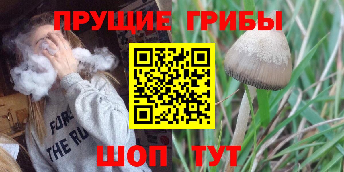 Бошки Шишки Магадан