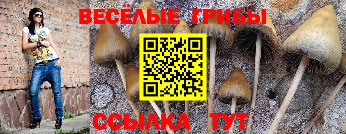 Галлюциногенные грибы Cubensis Магадан